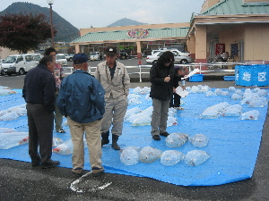 20081116 251-300.jpg